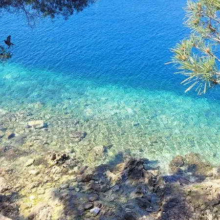 Sonice17 Νίκαια